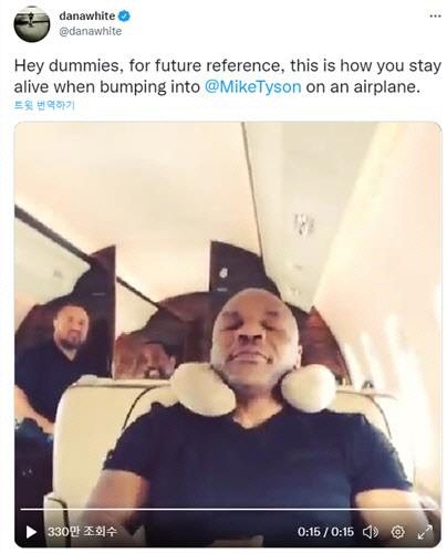 마이크 타이슨 전 복싱 챔피언